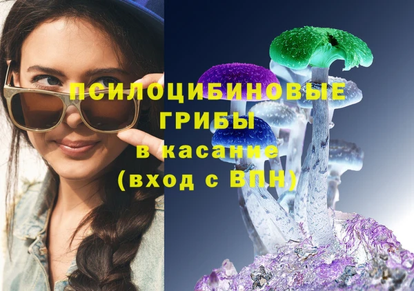 PSILOCYBIN Арсеньев