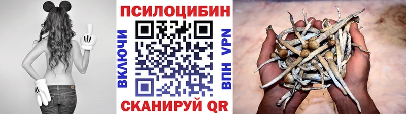 ссылка на мегу ссылки  цены наркотик  Ухта  Галлюциногенные грибы Magic Shrooms 
